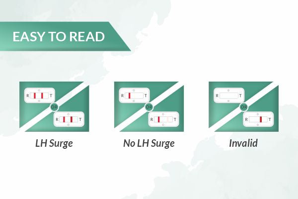 OvuFind Rapid Ovulation Test Kit